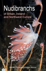 Nudibranchs of Britain, Ireland and Northwest Europe, 2nd Edition