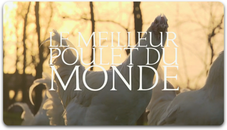 Le Meilleur Poulet Du Monde (2014)