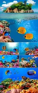 Stock Photo - Underwater World 2
