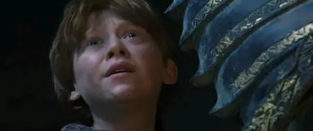 Harry Potter e la Pietra Filosofale (2001)