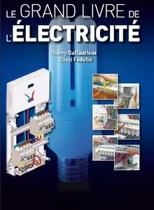 Le grand livre de l'electricite de David Fedullo et Thierry Gallauziaux (Repost)