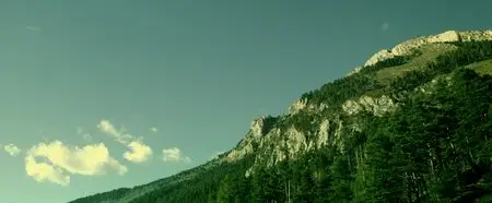 Minuscule - La vallée des fourmis perdues (2014)