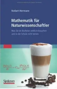 Mathematik Für Naturwissenschaftler: Was Sie im Bachelor wirklich brauchen und in der Schule nicht lernen