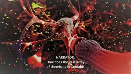 PBS - NOVA: The Cannabis Question (2021)