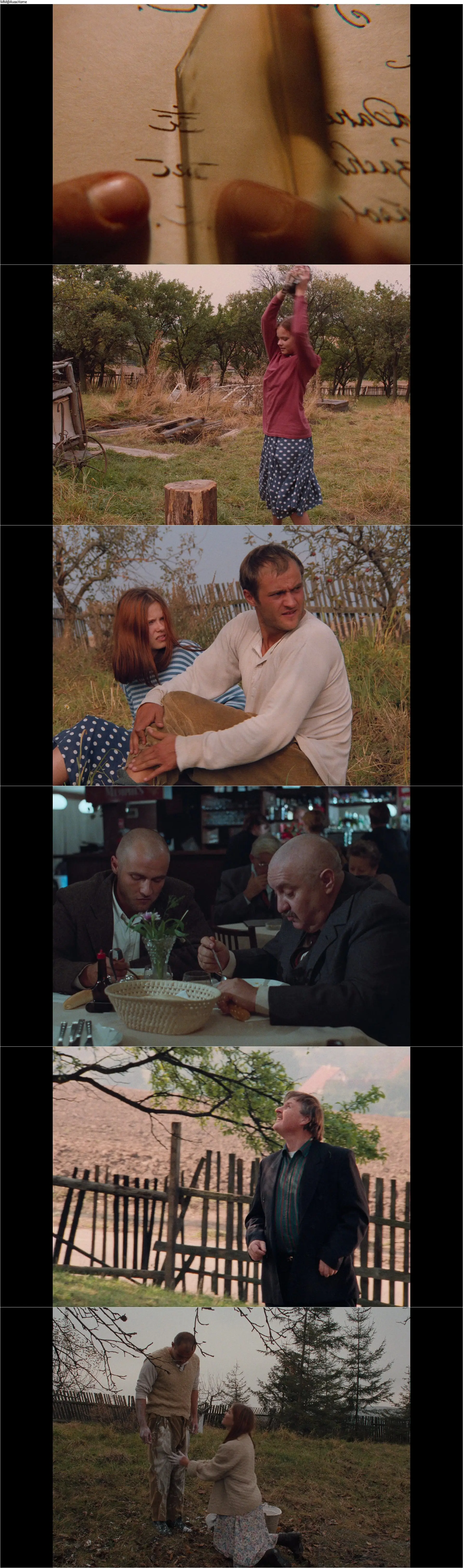 The Garden (1995) Záhrada / AvaxHome