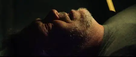 TORMENT (2017)