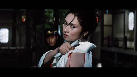 The Complete Lady Snowblood (1973-1974) [The Criterion Collection #790 and #791]