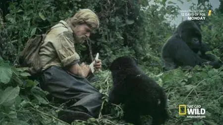 DIAN FOSSEY: SECRETS IN THE MIST (Part 2)