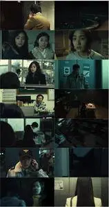 The Cat (2011) Go-hyang-i: Jook-eum-eul bo-neun doo gae-eui noon