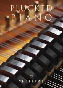 Spitfire Audio Plucked Piano v1.2 KONTAKT