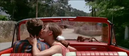 Pierrot le Fou (1965) [The Criterion Collection]