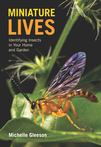 Miniature Lives : Identifying Insects in Your Home and Garden