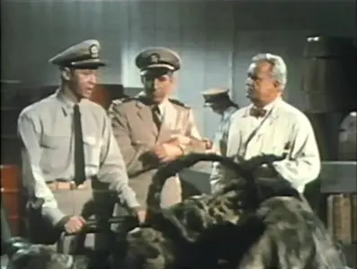 The Navy vs. the Night Monsters (1966)