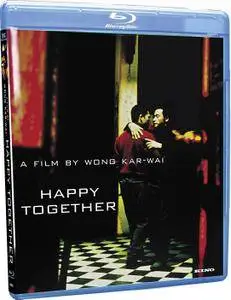 Happy Together (1997) Chun gwong cha sit