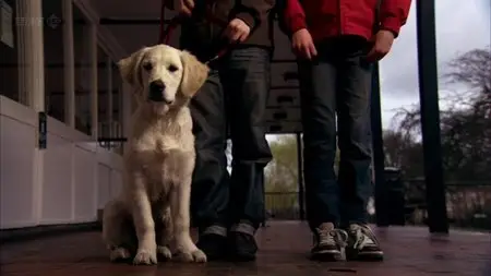 BBC Wonderland - Walking with Dogs (2012)