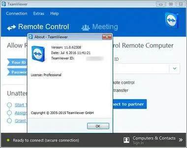 TeamViewer Professional 11.0.62308 Multilingual