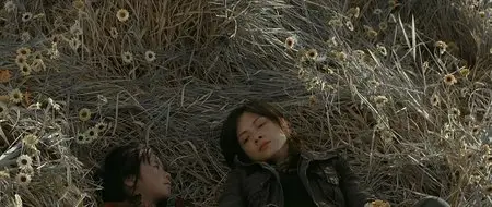 Re-cycle/Gwai wik (2006)