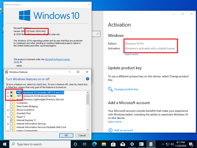 Windows 10 Pro/Home 20H2 10.0.19042.662 (x64) Preactivated November 2020