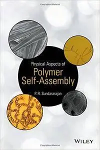 Physical Aspects of Polymer Self-Assembly (repost)