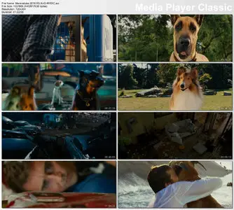 Marmaduke (2010)