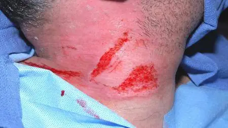 As I AM: The Life and Times of DJ AM (2015)