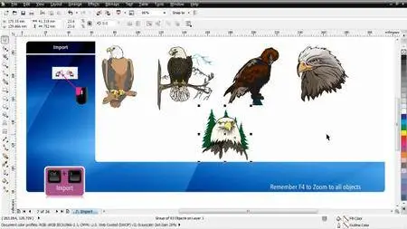 CorelDRAW Essential Training