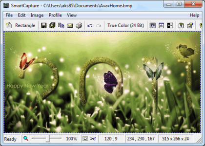 Desksoft SmartCapture 3.4.1