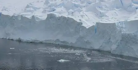 BBC - Our World 2016 The Penguin Watchers