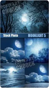 Stock Photo: Moonlight 5