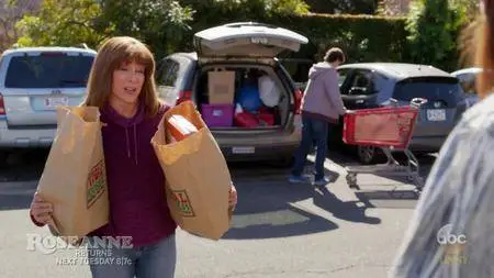 The Middle S09E17