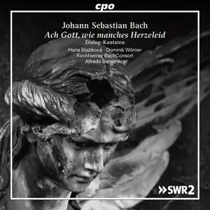 Alfredo Bernardini, Kirchheimer BachConsort - Johann Sebastian Bach: Ach Gott, wie manches Herzeleid - Dialog-Kantaten (2016)