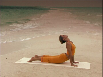 Shiva Rea - Sun Salutations (2005)