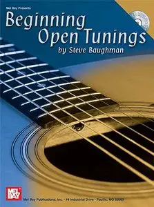 Steve Baughman - Beginning Open Tunings