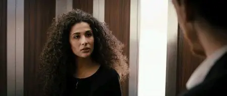 The Elevator: Three Minutes Can Change Your Life (2013)