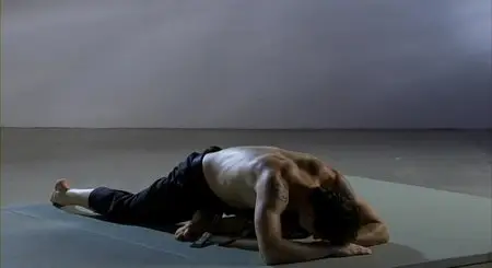 Cameron Shayne - Budokon DVD Set (2007)