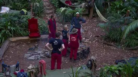 I'm a Celebrity Get Me Out of Here! S17E21