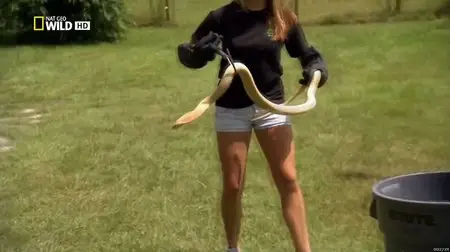 National Geographic Wild - Snake Underworld (2012)