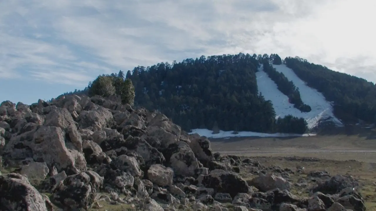 Water Life: Episode 10 - Protective Water / Mundos de agua / Водная жизнь. Серия 10 - Вода-защитница (2008)