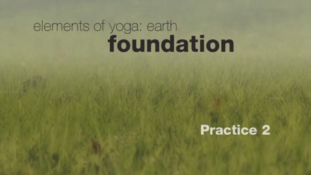 Elements of Yoga - Tara Lee