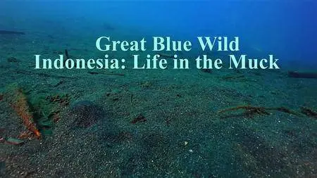 Smithsonian Earth - Great Blue Wild Series 1 Part 12 Indonesia: Life in the Muck (2017)