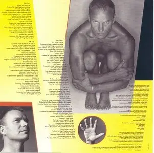 Sting - Fields of Gold: The Best of 1984-1994 [Japan SHM-CD] (2009) "Reload"