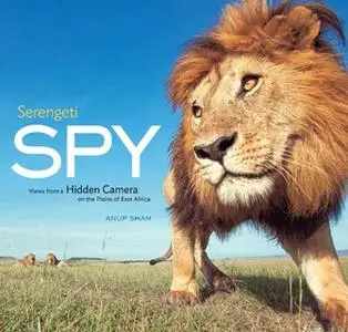 «Serengeti Spy» by Anup Shah