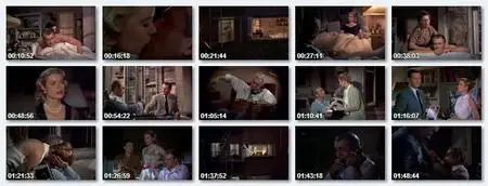 Alfred Hitchcock's Rear Window (1954)
