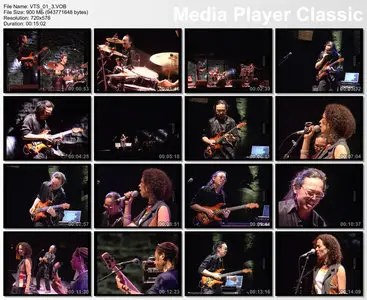 Nguyên Lê - Celebrating Jimmy Hendrix (Festival d'Assier) (2003) [SATRip]