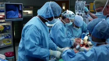 Grey's Anatomy S13E08