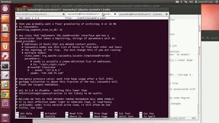 LinuxCBT CassDB Edition