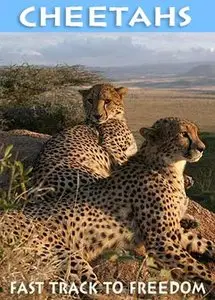 BBC: Cheetahs: Fast Track to Freedom (2006)