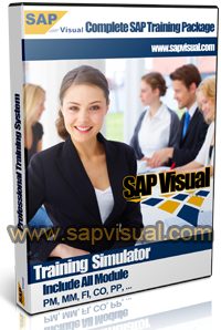 SAP Training Simulator (Includes All Modules)