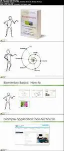 Biomimicry Basics: How To Innovate Using Nature Strategies