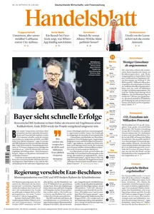 Handelsblatt  - 26 Juni 2024